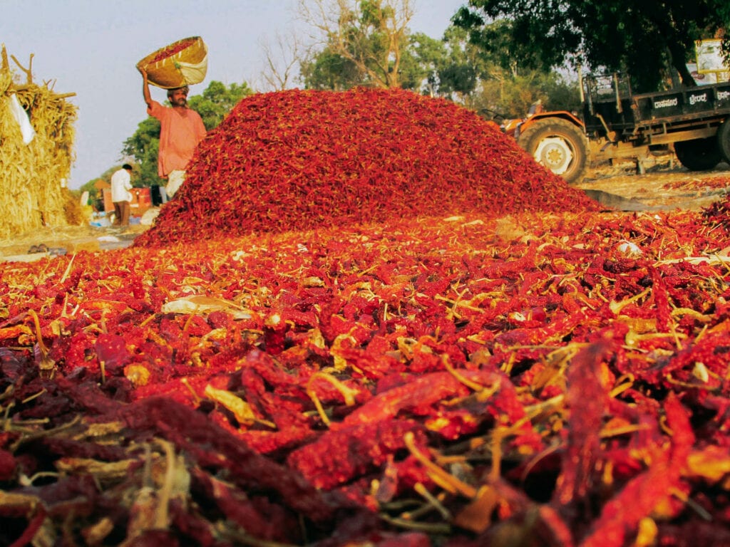 Asia's Biggest Spice Market - Khari Baoli
