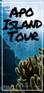 Apo Island Tour
