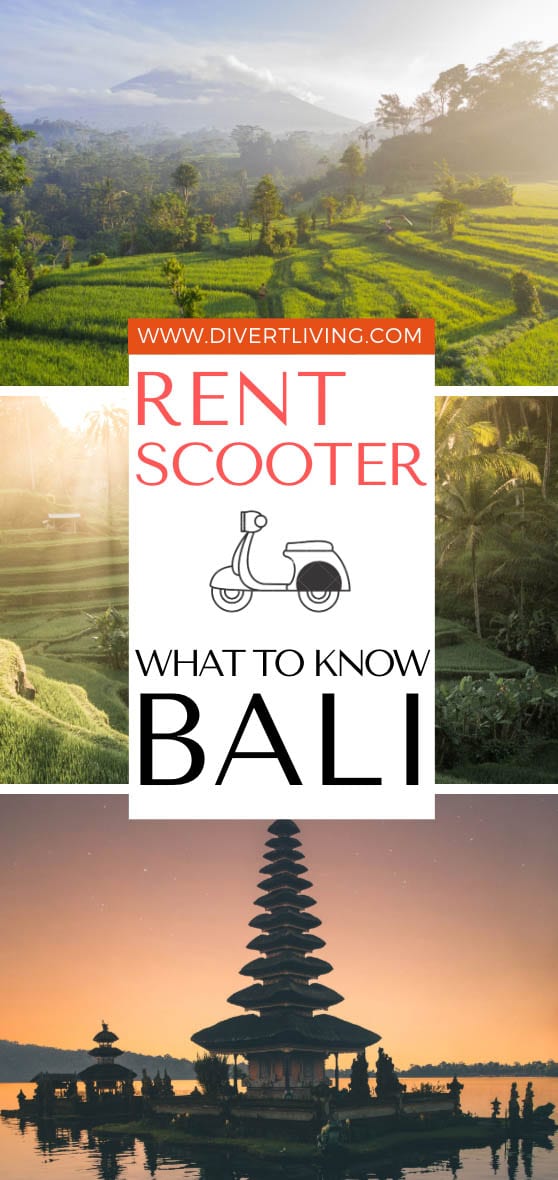 Renting A Scooter In Bali - A Start To Finish Guide! - Divert Living