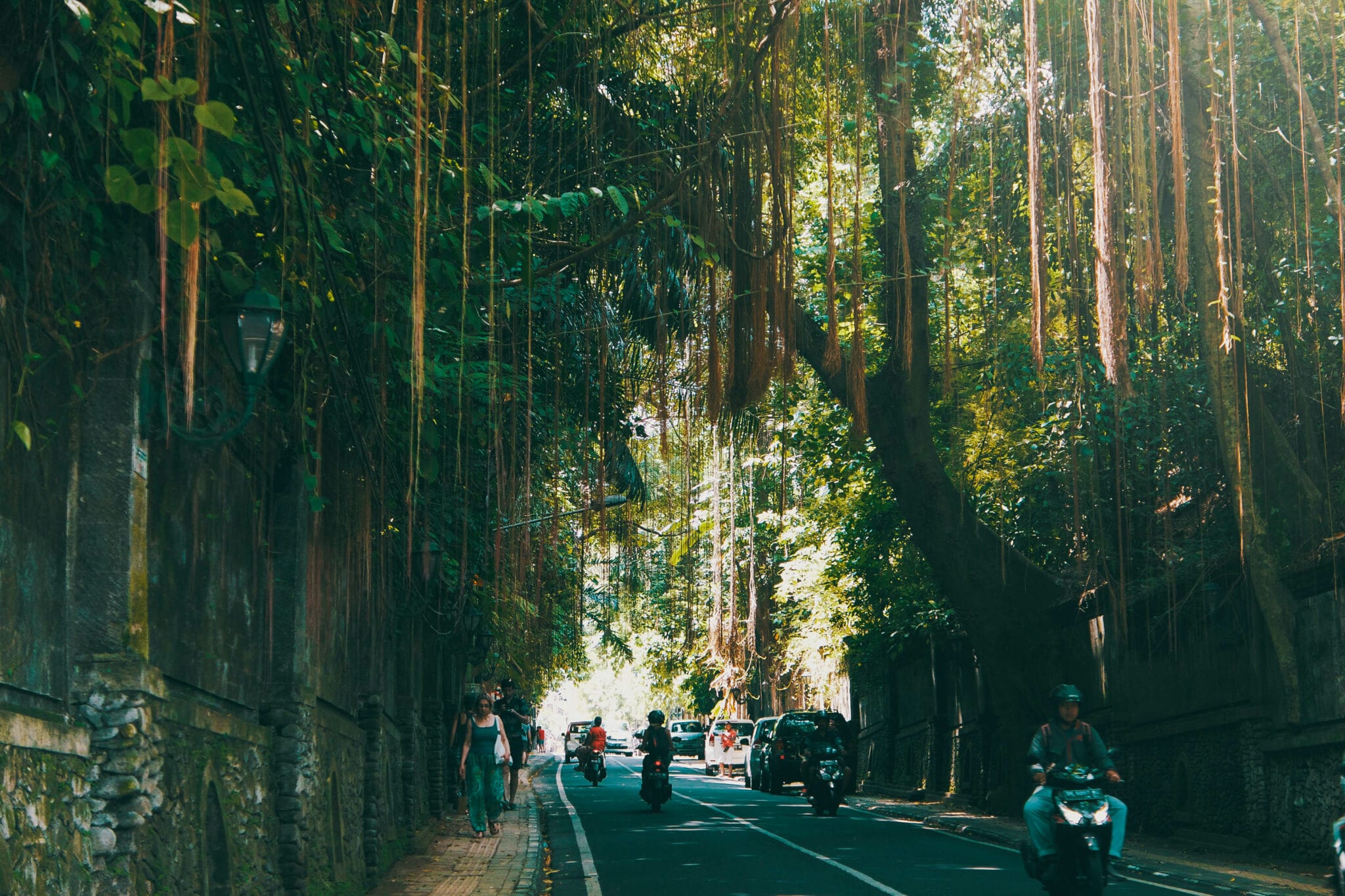 Scooter In Bali