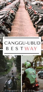 Canggu to Ubud
