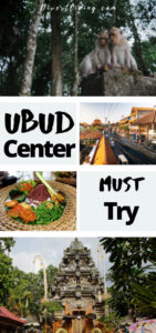 Ubud Center